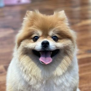 Meet your Posher, Christopher